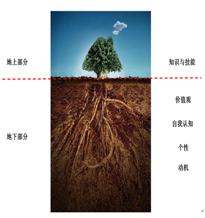 遠東營銷經理大樹素質模型