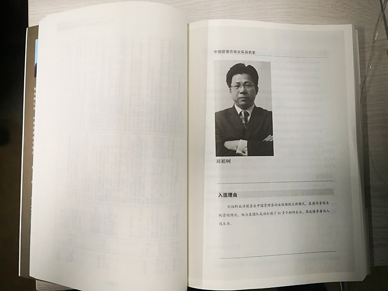 中國管理咨詢業實戰名家內頁1